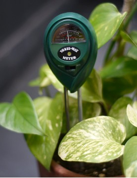 Los 8 mejores medidores de humedad para plantas - Descúbrelos