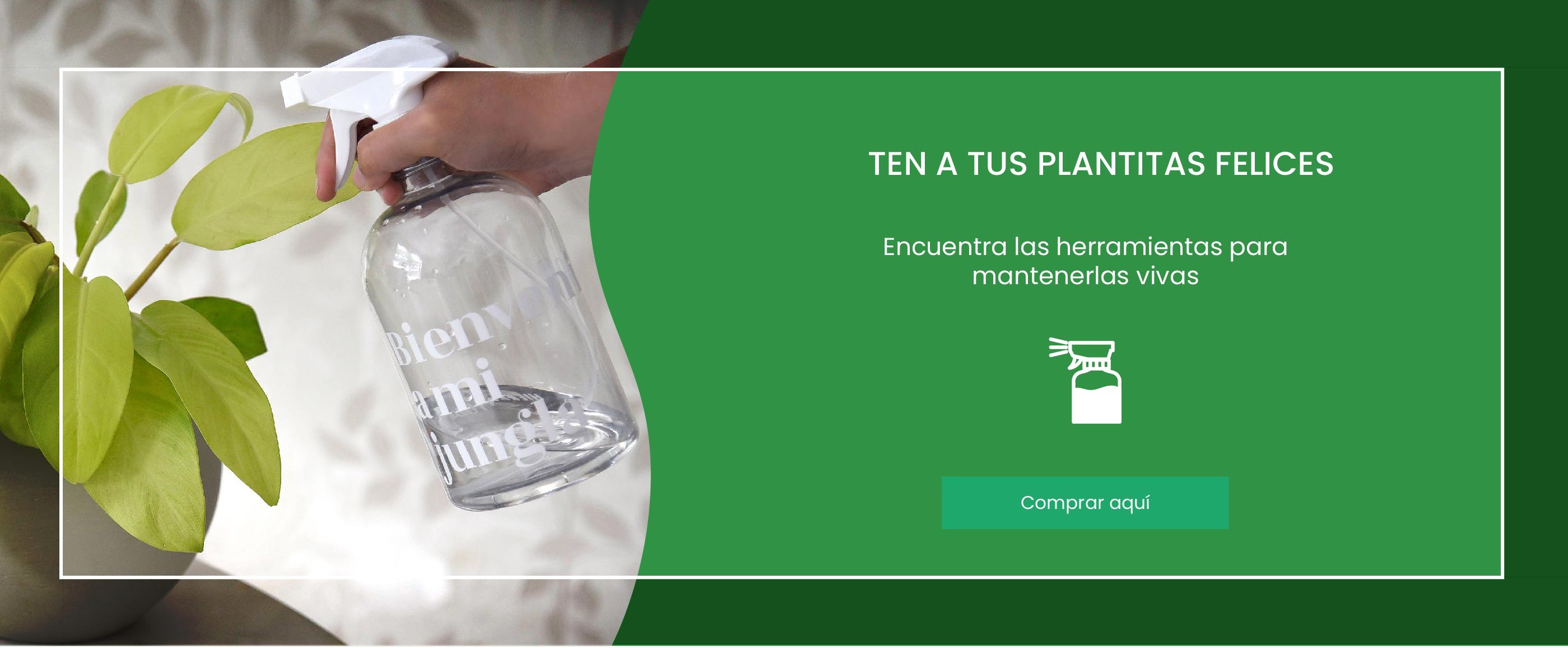 Engríe a tus plantas con estas herramientas